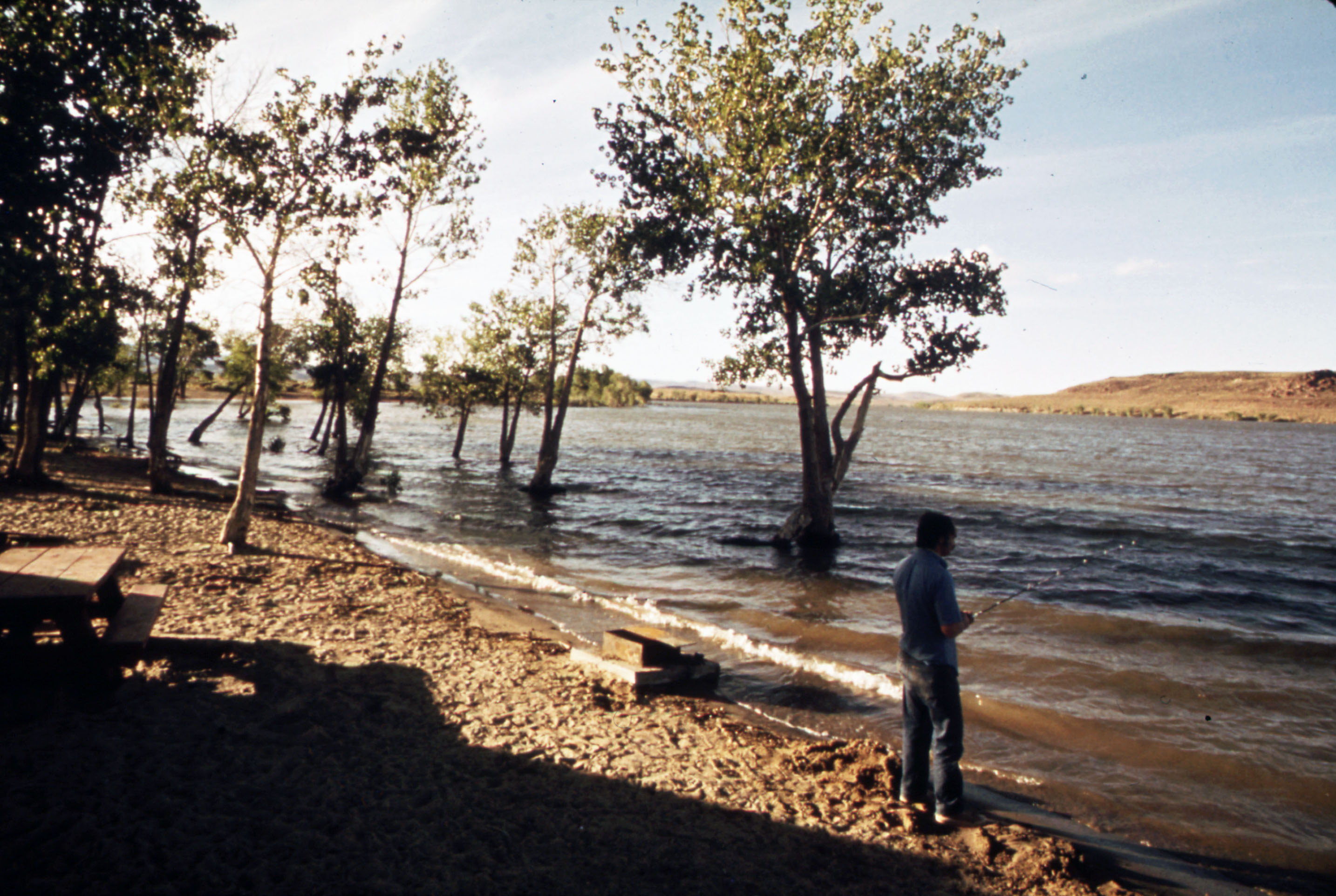 Man standing under trees on the edge of a body of water Man standing under trees on the edge of a body of water